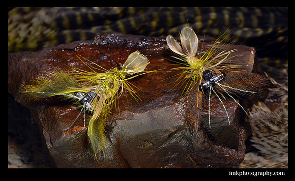 Craws on the Rocks