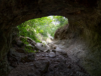 Gorman Cave Colorado Bend SP TX
