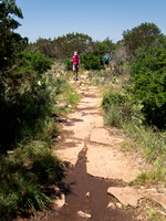 Hiker on  Gorman Falls Trail Colorado Bend SP TX