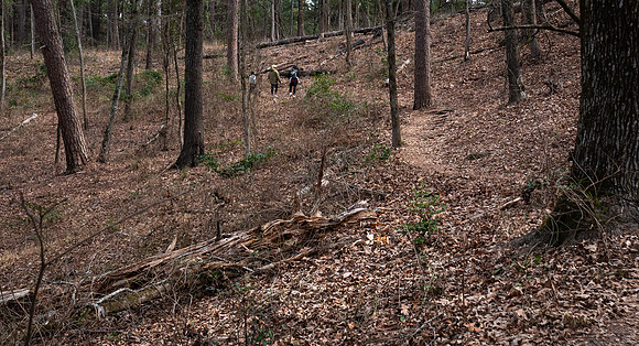 Hikers on Lake Loop Trail Daingerfield SP TX