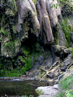 Gorman Falls Colorado Bend SP TX