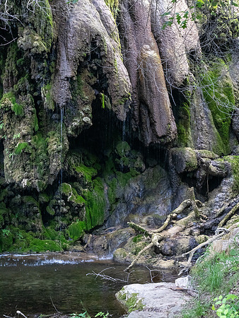 Gorman Falls Colorado Bend SP TX
