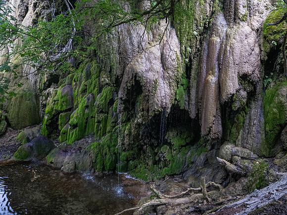 Gorman Falls Colorado Bend SP TX