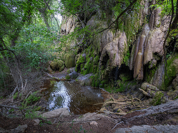 Gorman Falls Colorado Bend SP TX