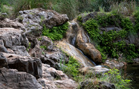 Gorman Springs at Colorado Bend SP TX