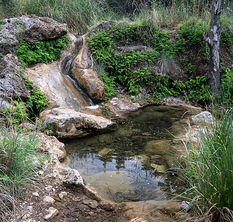 Gorman Springs at Colorado Bend SP TX