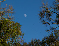 Copyright 2025 Mark Kolanowski