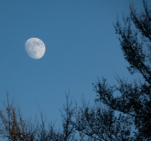 Copyright 2025 Mark Kolanowski