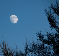 All Hallow's Eve Moon rise