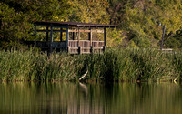 Lakeview wildlife blind