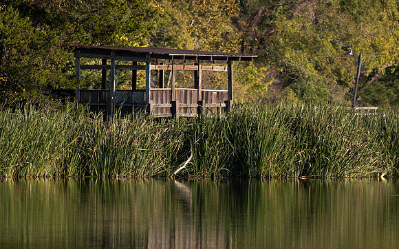 Lakeview wildlife blind