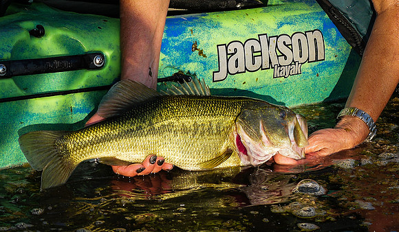 LMB Release
