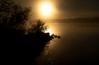 Misty Sunrise
