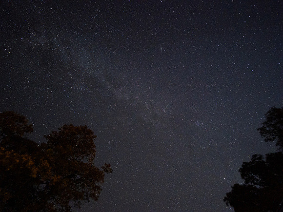 Copyright 2025 Mark Kolanowski
