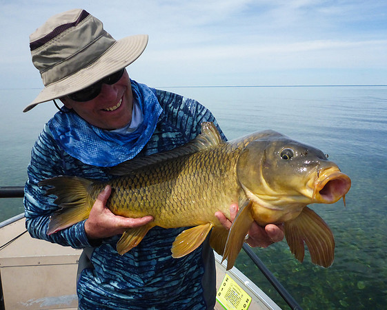 Carp on the Fly