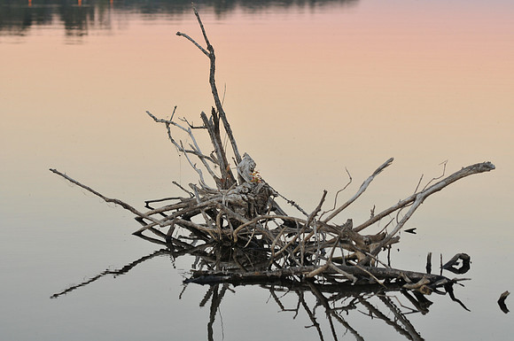 Copyright 2025 Mark Kolanowski