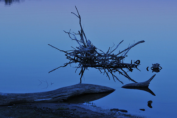 Copyright 2025 Mark Kolanowski