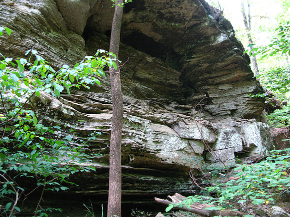 Copyright 2025 Mark Kolanowski