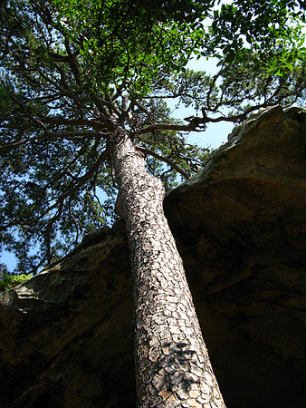 Copyright 2025 Mark Kolanowski