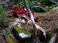 Copyright 2025 Mark Kolanowski