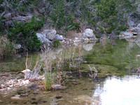 Copyright 2025 Mark Kolanowski