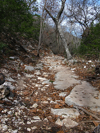 Copyright 2025 Mark Kolanowski