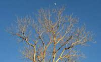 Copyright 2025 Mark Kolanowski