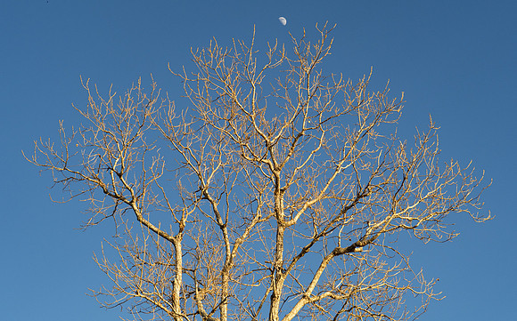 Copyright 2025 Mark Kolanowski