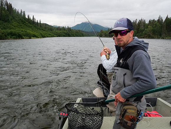 These fish know how to use the current !