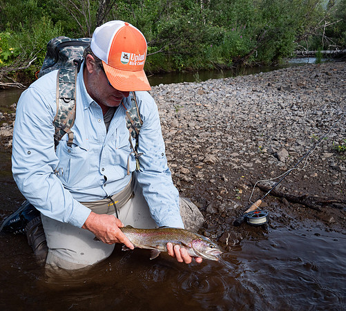 How do they find the bead under all those Sockeye ??