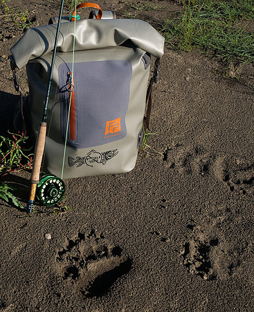 Everything but Bear Spray