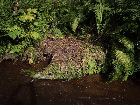 Stream Side Bear Picnic Table