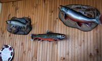 Native Fish & Dinner Menu