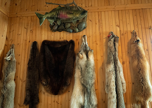 Fin and Fur