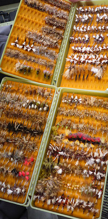 Dry Flies are the Best !