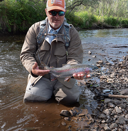 Fino Creek Rainbow