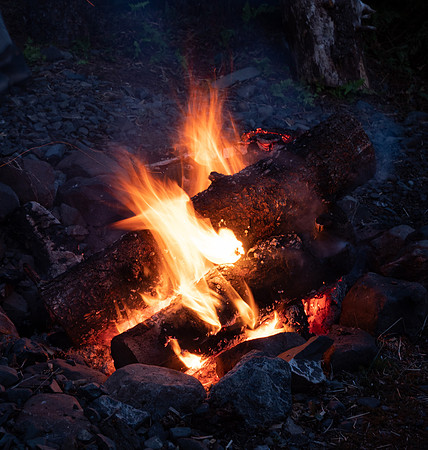 Another Log ?