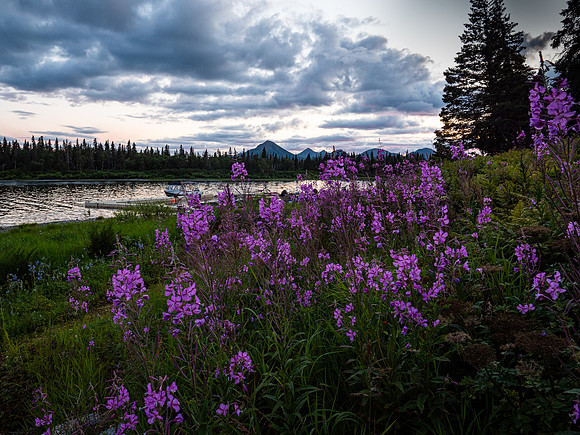 Lodge View @ Sunset