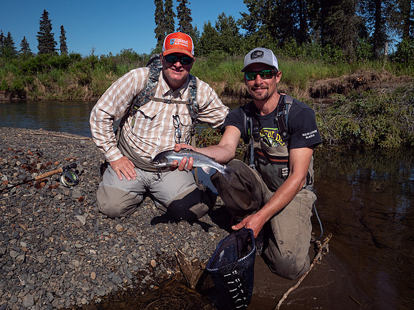 Arctic Char