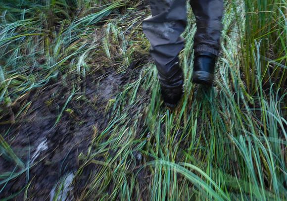 Tundra slugging