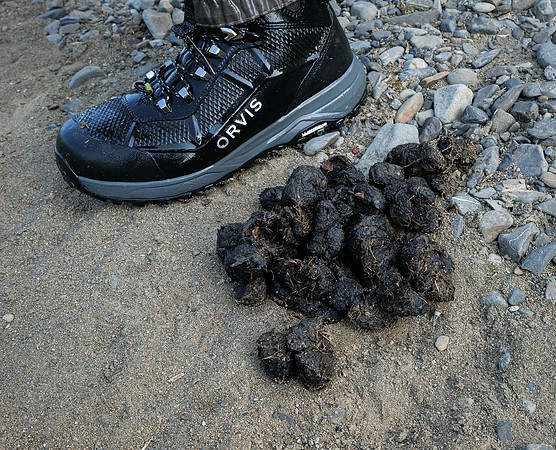 Orvis Endorsed !