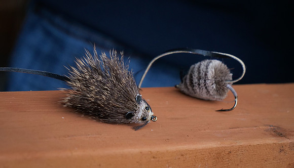 Mouse Patterns