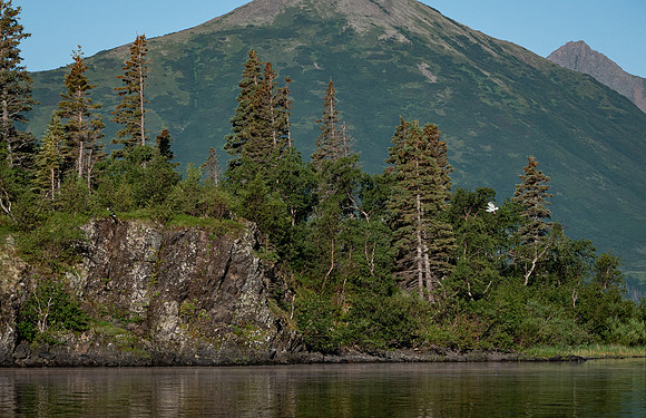 Lake Scape