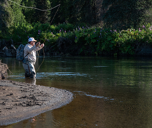 1st Casts on Sunshine Creek