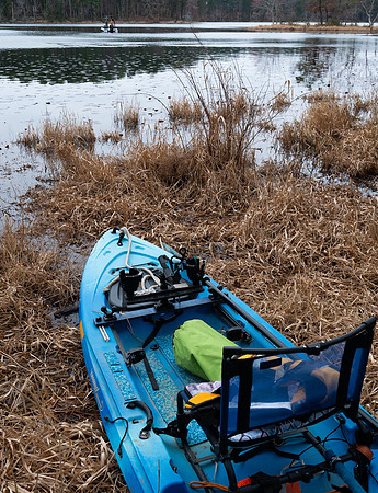 Fish are calling