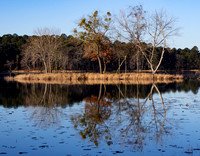 CCC Island Daingerfield SP TX