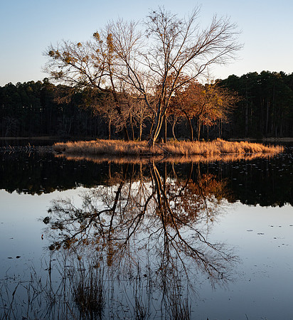 CCC Island Daingerfield SP TX