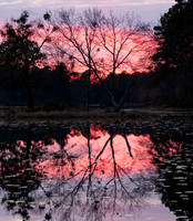Sunset at CCC Island at Daingerfield SP TX