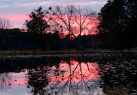 Sunset at CCC Island at Daingerfield SP TX