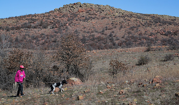 Long-lining the Pup
